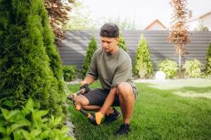 a-young-man-is-cutting-pruning-trees-with-a-garden-2025-04-01-19-37-15-utc (1)