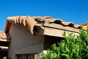 damage-to-roof-on-house-from-storm-2024-12-06-01-36-47-utc (1)