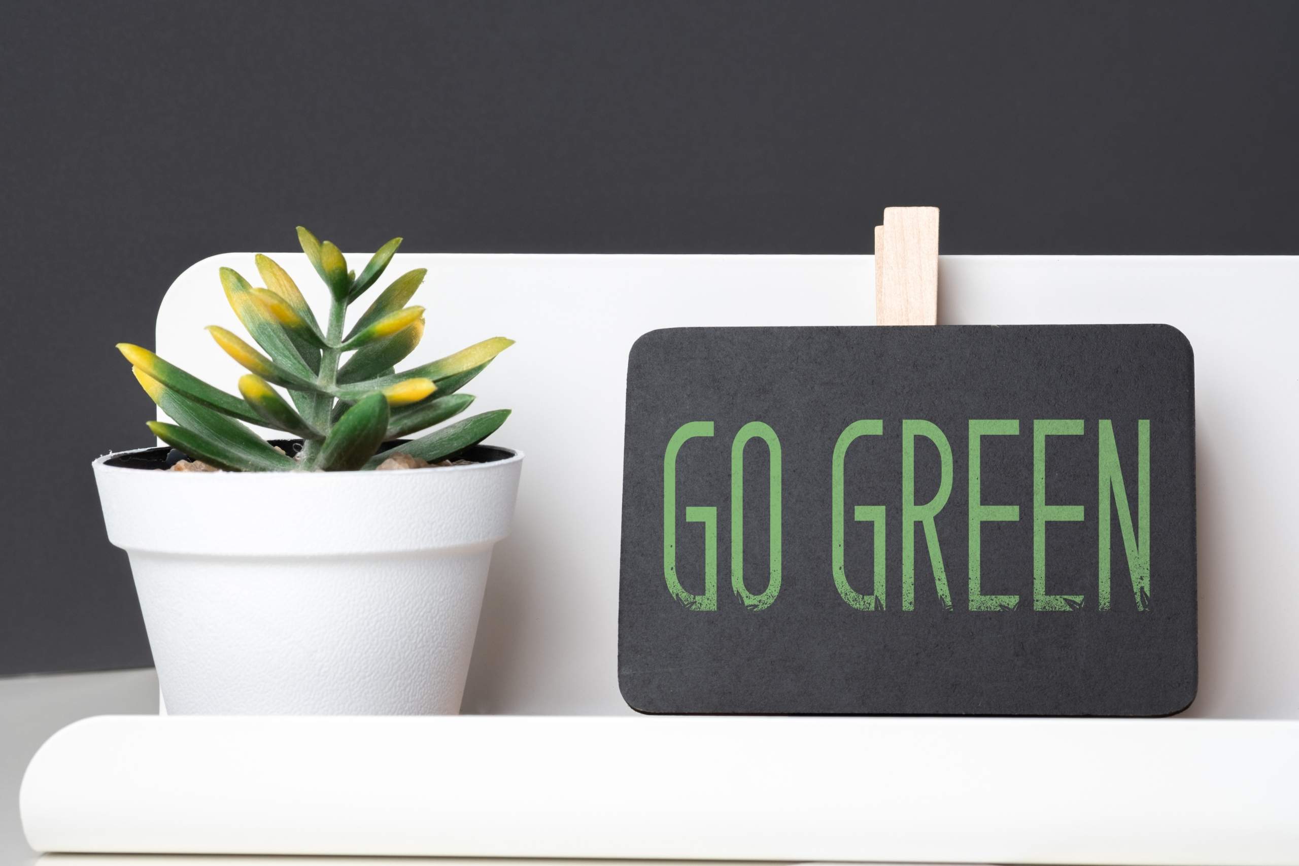 https://thecalagents.com/staging/wp-content/uploads/2025/07/go-green-on-blackboard-and-green-plant-in-white-po-2024-11-27-11-44-45-utc-1-scaled.jpg